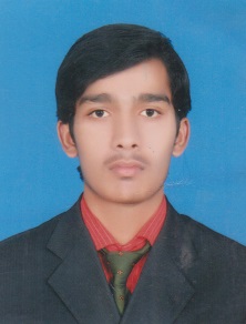 Muhammad Usman Anees
