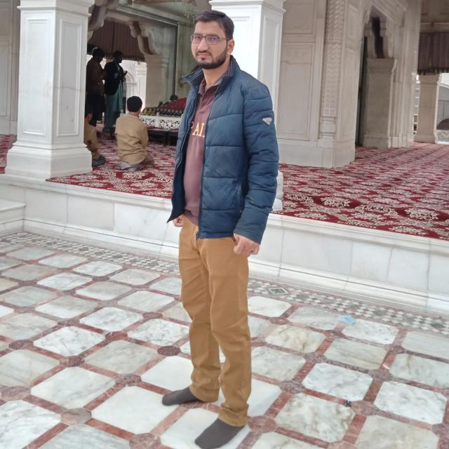 Hafiz Muhammad Anees