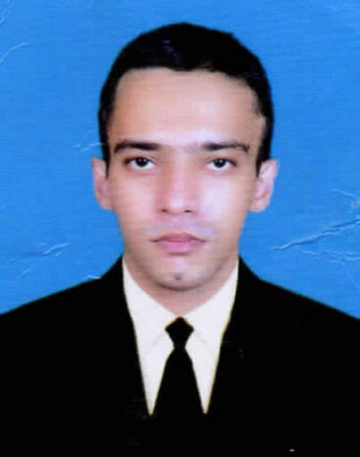M. Mazin Ansari